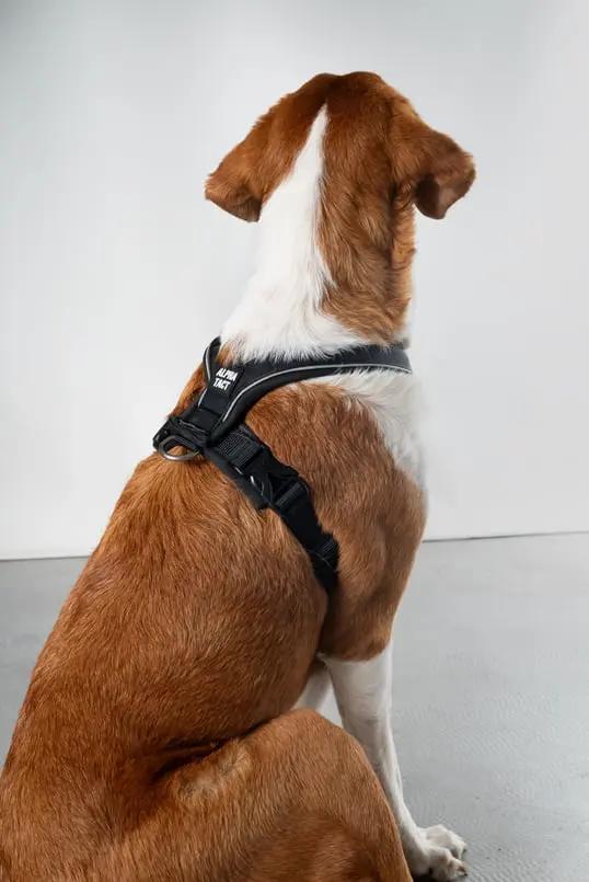 Soft Göğüs Tasması Kırmızı - Alpha-Tact