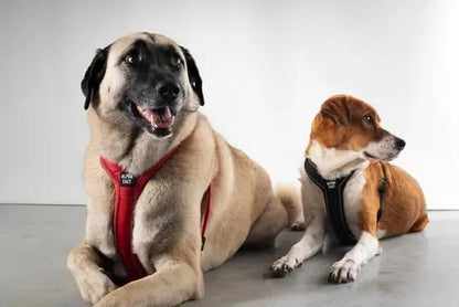 Soft Göğüs Tasması Kırmızı - Alpha-Tact