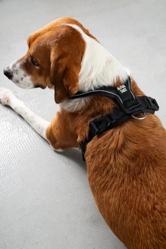 Soft Göğüs Tasması Siyah - Alpha-Tact