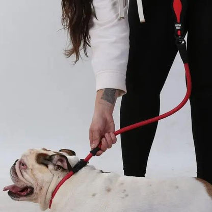 Swiftslip Lead Siyah - Alpha-Tact