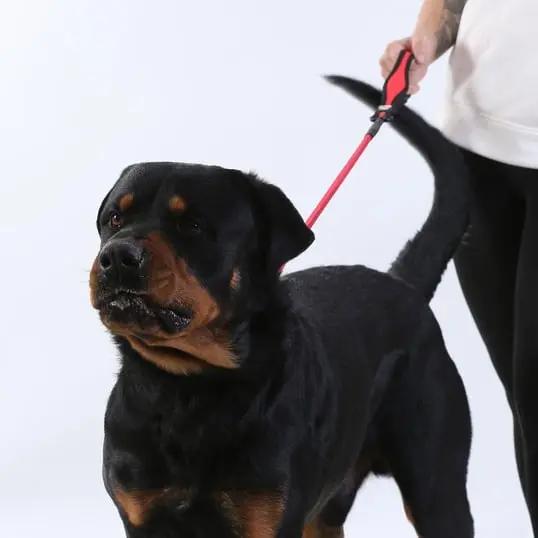 Swiftslip Lead Siyah - Alpha-Tact