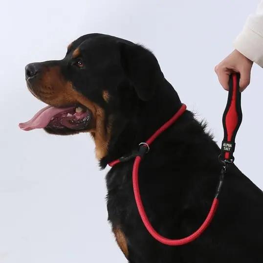 Swiftslip Lead Siyah - Alpha-Tact