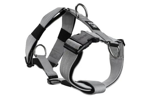 Tactfit Harness Gri - Alpha-Tact