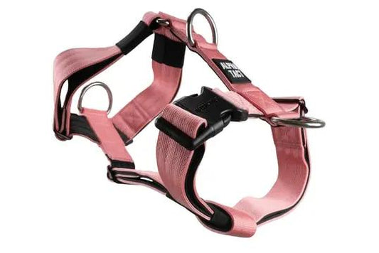 Tactfit Harness Pembe - Alpha-Tact