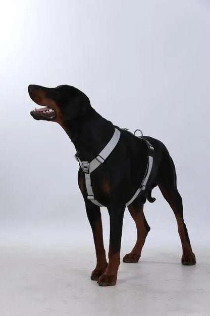 Tactfit Harness Siyah - Alpha-Tact