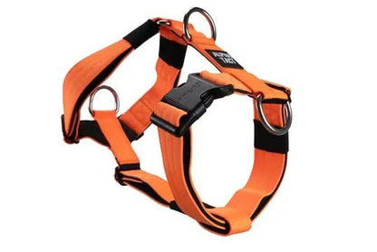 Tactfit Harness Turuncu - Alpha-Tact