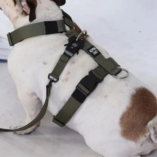 Tactlead Combat Siyah - Alpha-Tact