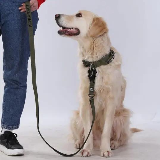 Tactlead Combat Siyah - Alpha-Tact