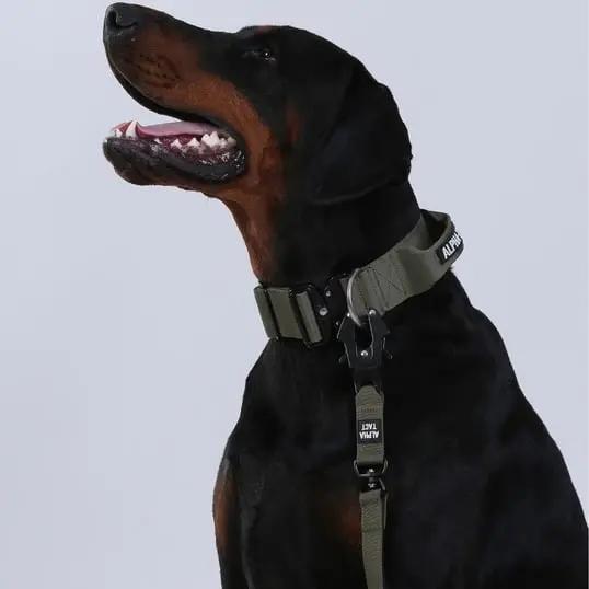 Tactlead Combat Siyah - Alpha-Tact