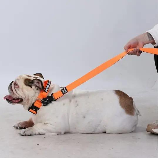 Tactlead Mini Siyah - Alpha-Tact