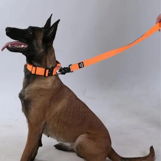 Tactlead Mini Siyah - Alpha-Tact