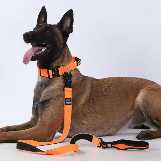 Tactlead Mini Siyah - Alpha-Tact