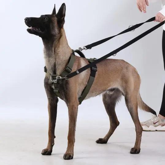 Trailtrainer Lead Siyah - Alpha-Tact