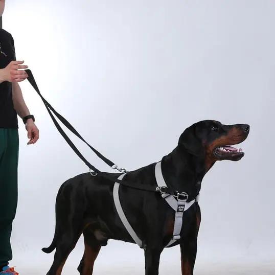 Trailtrainer Lead Siyah - Alpha-Tact