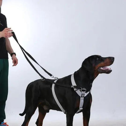 Trailtrainer Lead Siyah - Alpha-Tact