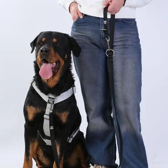 Trailtrainer Lead Siyah - Alpha-Tact