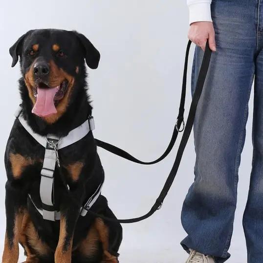 Trailtrainer Lead Siyah - Alpha-Tact