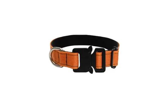 Turuncu 2,5cm Boyun Tasması - Alpha-Tact