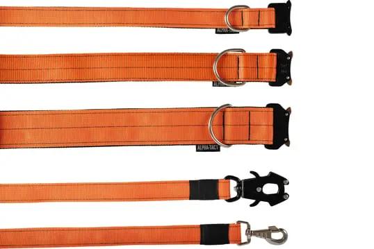 Turuncu Kısa Taktik Gezdirme Tasması - Alpha-Tact