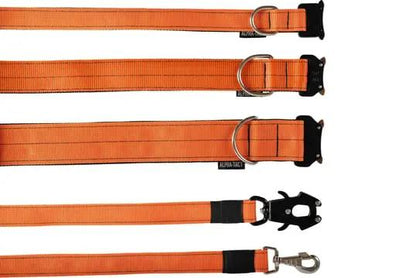 Turuncu Kısa Taktik Gezdirme Tasması - Alpha-Tact